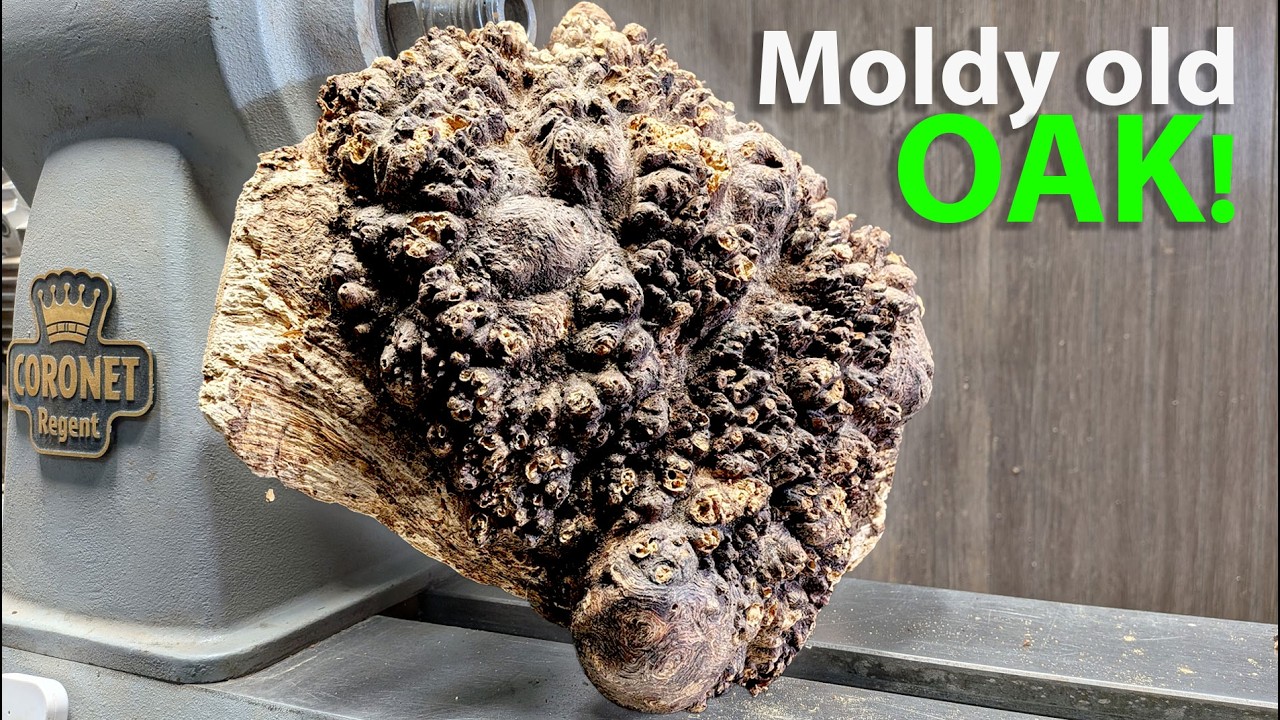 ROTTEN to the CORE? -  Turning a Decaying Oak Burl on the lathe