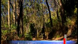 Lofty Descents - Mount Lofty and Cleland to Adelaide by Mountain Bike