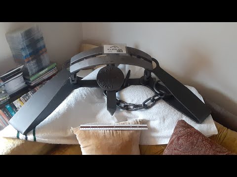 bear trap with teeth/Authentic duke#16