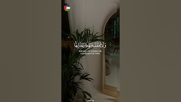 استمر  🇵🇸🍉#قرآن #اكسبلور #تلاوة_خاشعة #islamic #المصحف #فلسطين #غزة #palestine #fyp