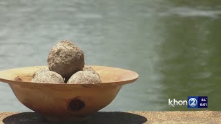 Genki balls tamp down stench of Ala Wai Canal