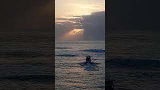 Sonny Evans  - Shelly Beach