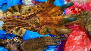 Chợ Phiên Bảo Lâm Cao Bằng Bán Toàn Đồ Lạ | Vùng núi tây bắc