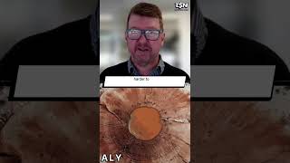 Alchemy Resources (ASX:ALY): ASX Gems Investment Conference: Critical Minerals