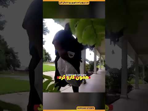 این پیک پیتزا حقشه انعام خیلی خوبی بگیره