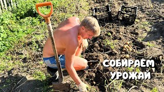 видео: ОТДЫХАЕМ И РАБОТАЕМ/ Дачный сезон подошел к концу/ СОБРАЛИ УРОЖАЙ/ Нижний Новгород 2024 картинка: ОТДЫХАЕМ И РАБОТАЕМ/ Дачный сезон подошел к концу/ СОБРАЛИ УРОЖАЙ/ Нижний Новгород 2024