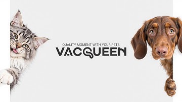 Vacqueen Automatic Cat Feeder Introduction Video