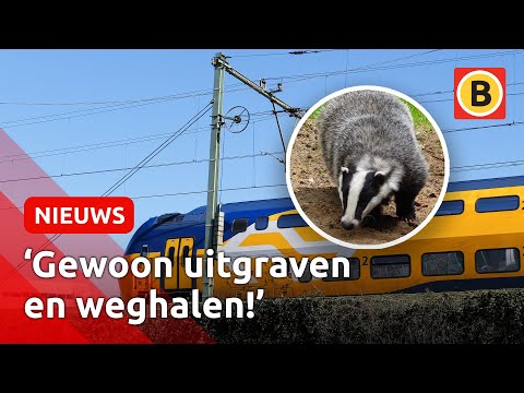 DA'S PECH, SPOORWEG: hoe zit dat? ?? | Omroep Brabant