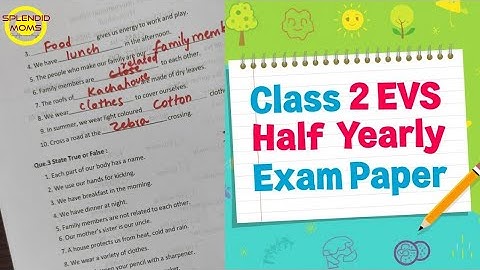 Class 2 EVS Half Yearly Exam Paper | Term 1 EVS Question Paper | EVS Revision for Class 2 Students