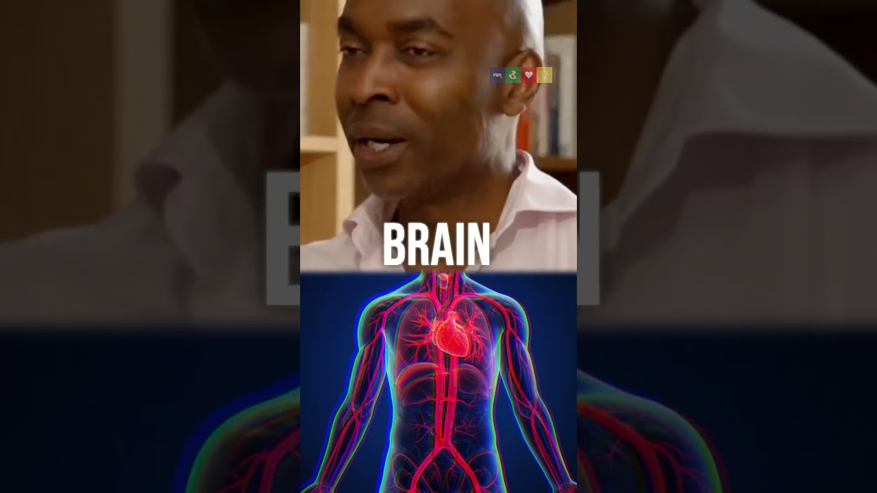 Лучшая диета при эректильной дисфункции?