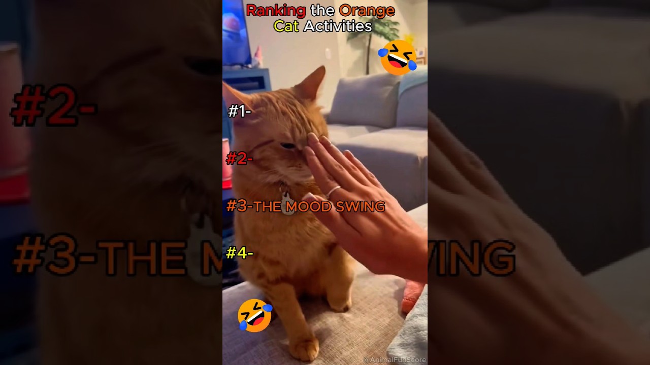 Why Orange Cats are Literally Glitched 💀 | 