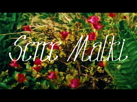 Warszawskie Combo Taneczne – Serce Matki – teledysk
