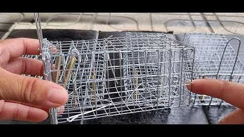 Bán lồng bẫy chuột đồng, bán lồng bẫy chuột đường mòn không cần mồi, bán lồng bẫy Zalo 0936059090.