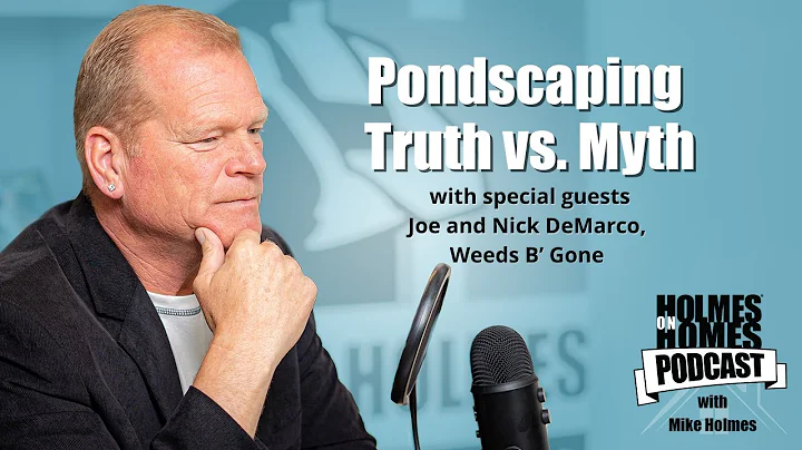 What Happens When You Don't Clean Your Pond? | Mike Holmes Podcast