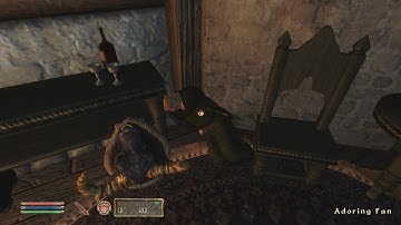 Day 123 - Killing Adoring Fan Every Day Until Elder Scrolls Skyblivion is Released