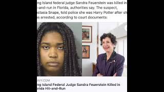 FEDERAL JUDGE KILLED 6 YR INJURED IN HIT AND RUN BY A WOMAN WHO SAYS SHE WAS HARRY POTTER.