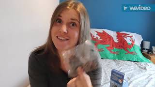 Moo free vegan organic chocolate Easter egg review
