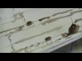 ep92 - accurate miniatures 1/48 b-25b part 7
