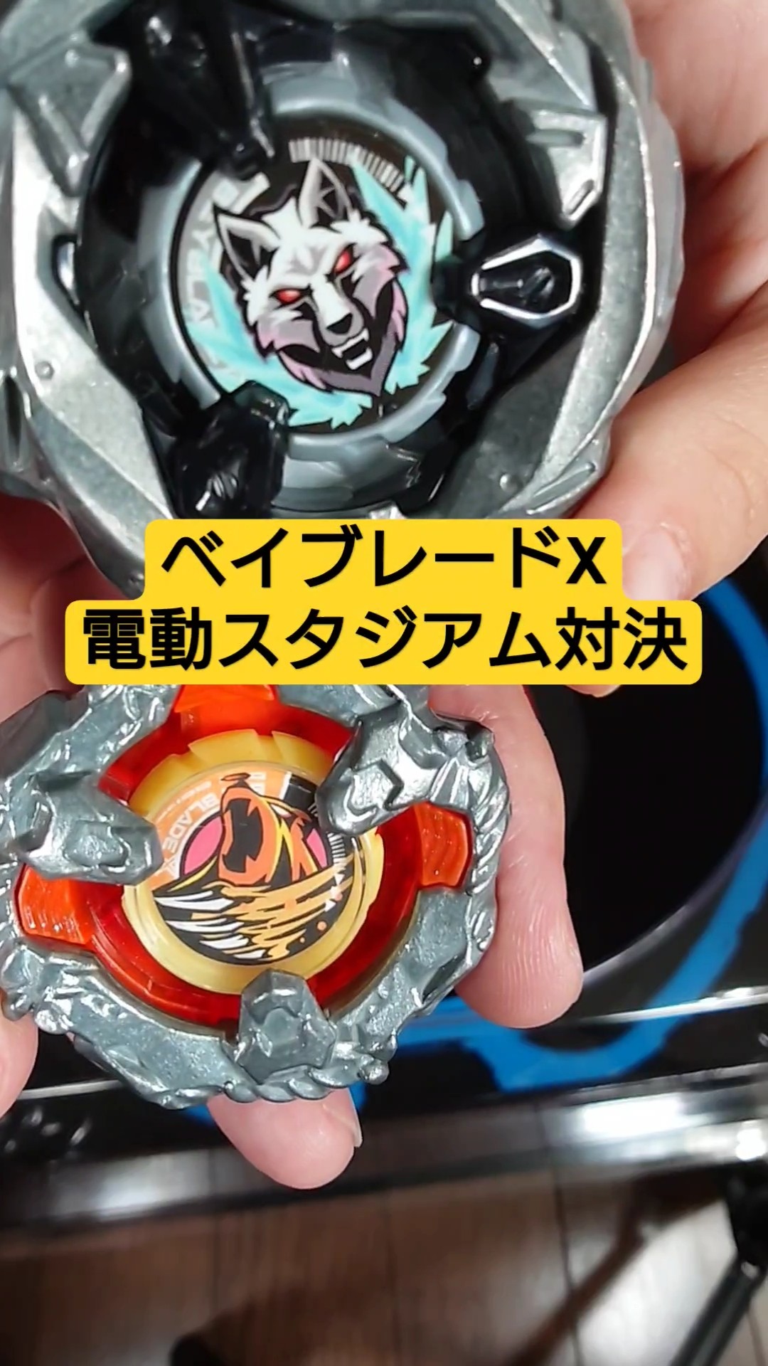 Beyblade X Showdown, released October 12th] Silver Wolf vs Bear