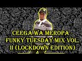 Ceega wa meropa  funky tuesday mix vol ii lockdown edition