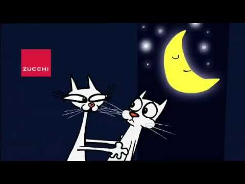 Zucchi spot gatti 2010