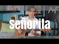 Señorita Shawn Mendes Camila Cabello Cover Fingerstyle Guitar Andrew Foy 