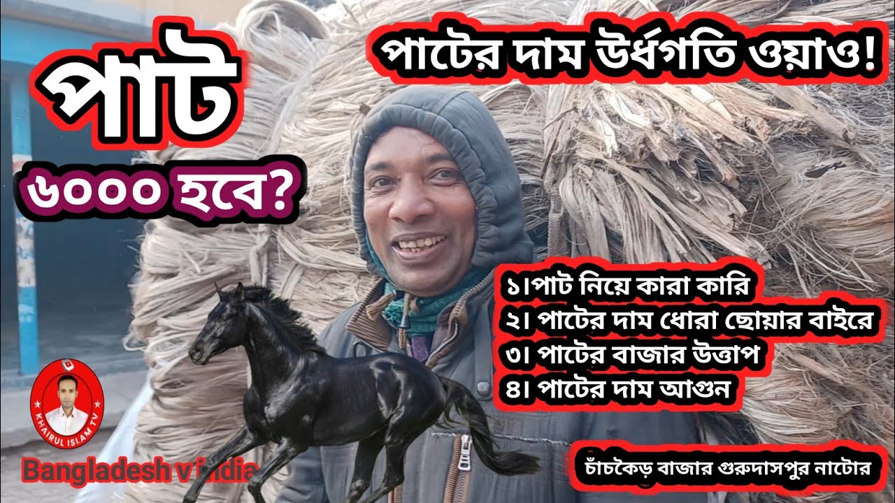 আজকের পাটের ঊর্ধ্বগতি দাম ও ধামাকা | ১৭-০১-২৬ | চাঁচকৈড় বাজার | গুরুদাসপুর নাটোর