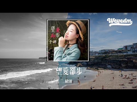 于洋 - 望爱却步 (DJ沈念版)「直到被思念销魂蚀骨 才知道自己错得离谱」【動態歌詞/pīn yīn gē cí】#于洋 #望爱却步 #動態歌詞