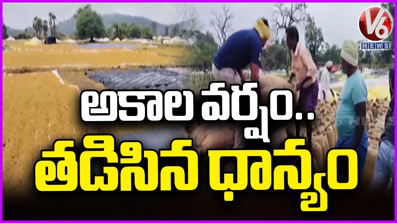 Sudden Rains Cause Huge Loss to Farmers | Grains Soaked | V6 News - YouTube