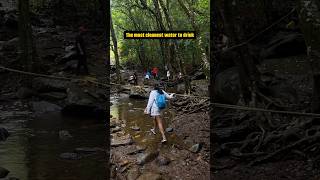 #nethravathi #netravati #yashikajain #ytshorts #ytshortsindia #cleanwater #trekking #bangaloretrip