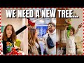 They’ve Waited ALL Years For This! (Elves Are Back!)