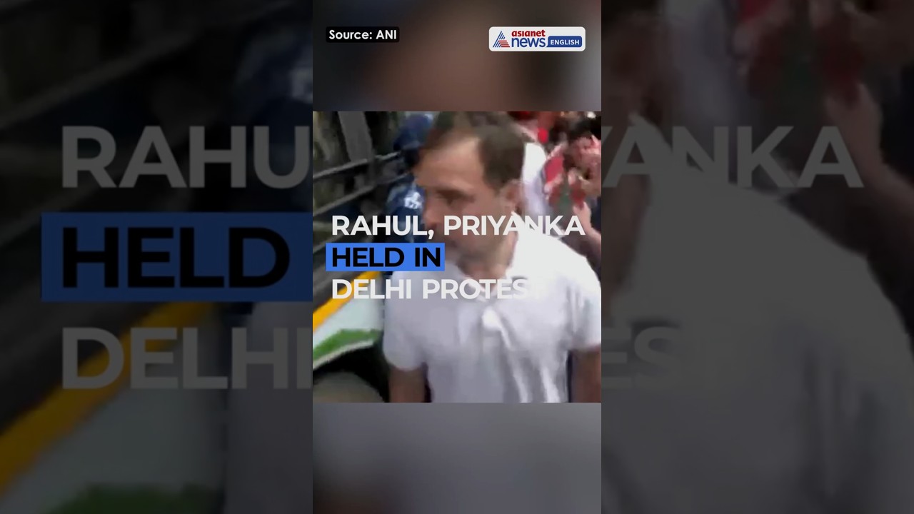 Rahul, Priyanka Detained During INDIA Bloc Protest In Delhi