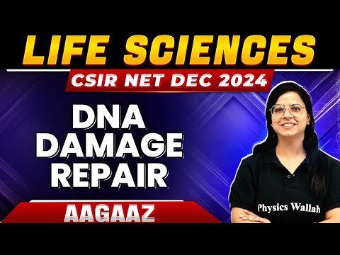 CSIR NET 2024 DNA Damage Repair Molecular Biology For CSIR NET CSIR NET Life Science
