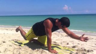 Core Training: exercises from a quadruped position
