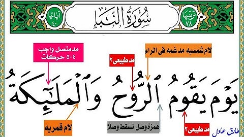 سورة النبأ قراءه تجويديه حرفيه تشكيليه الجزء الاخير ويقول(الكافر ياليتنى كنت ترابا)