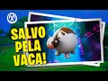 Salvo pela Vaca!