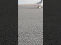 lil line