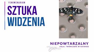 Niepowtarzalny | Jasna | Twórczość w naturze | Fenomenarium
