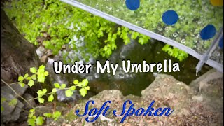 ASMR Rain on plastic umbrella (Soft Spoken) Nature walk/ Running water/ No-talking version tomorrow. screenshot 4