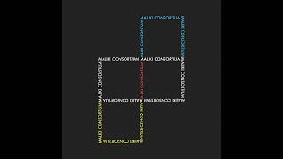 Maliki - Consortium ft. Aidan Newland