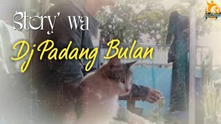 Dj Padang bulan story' wa 30 detik