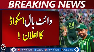 Squad announced for Pakistan&rsquo;s One Day series - Aaj News Breaking