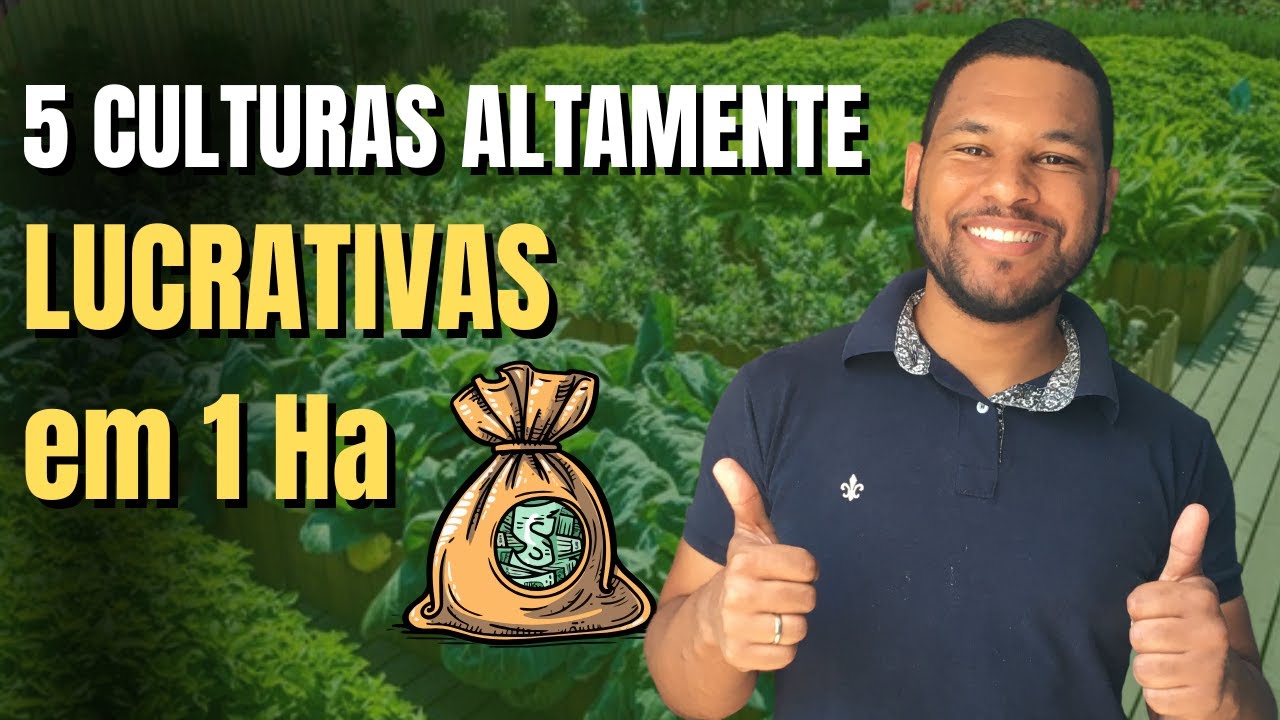 CULTIVOS ALTAMENTE LUCRATIVOS EM ATE 1 hectare SOMENTE !!