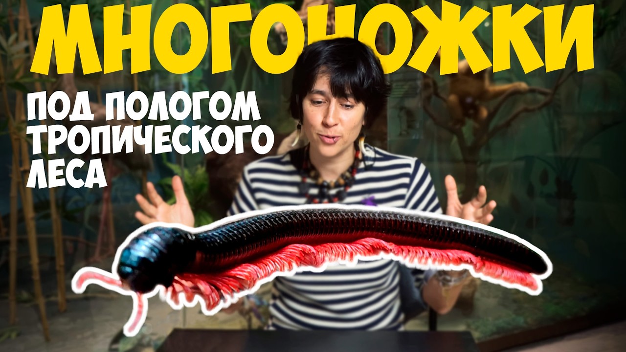 YouTube youtube