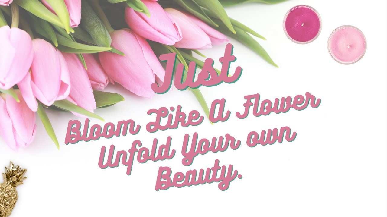 World's Most beautiful Tulip Flowers|Pink tulips|Red Tulips|Tulips in spring|Flowers video