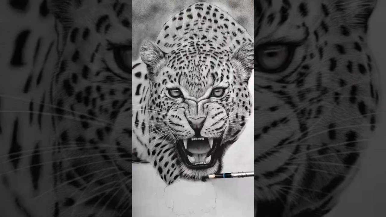 Hard sketching drawing of tiger 🐯 hard sketching video 