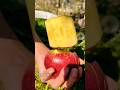 #wow#apple #nature #fruit #fruitcutting