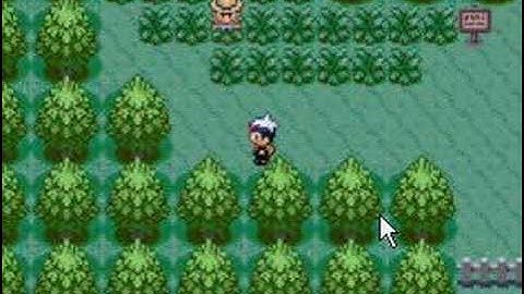 Pokemon Ruby Walkthrough Episode 8: The Search