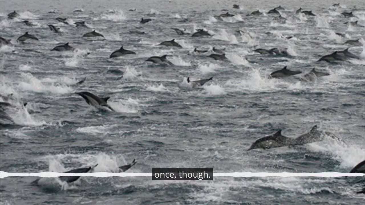 Fun Fact Friday: Superpods