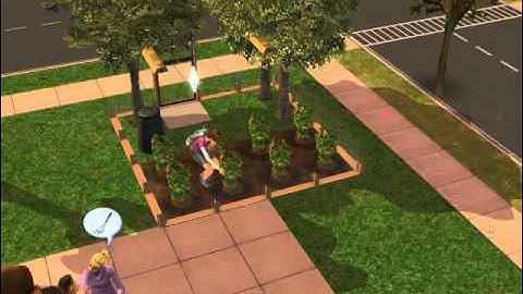The sims2 cheats help